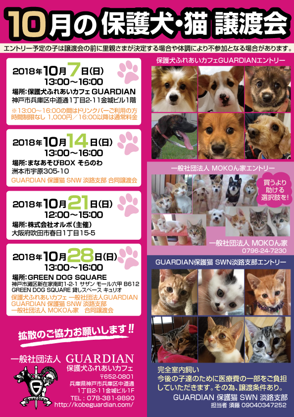 保護 犬 兵庫 県
